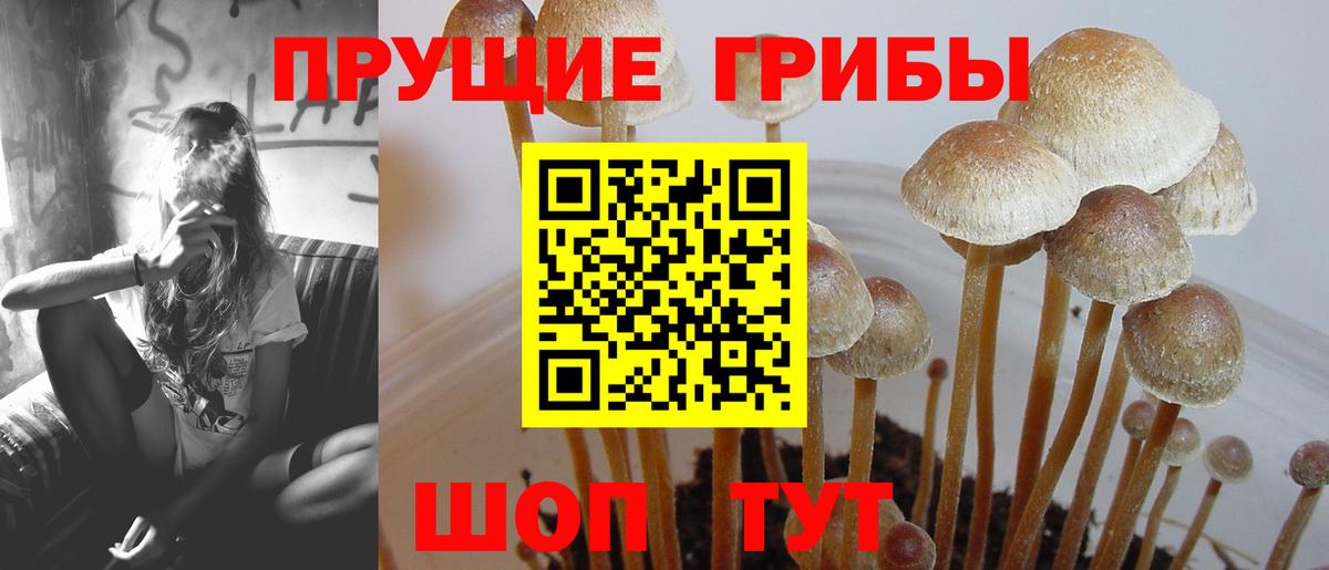 Галлюциногенные грибы ЛСД  дарнет шоп  Вход с VPN  Сланцы  Псилоцибиновые грибы Cubensis 