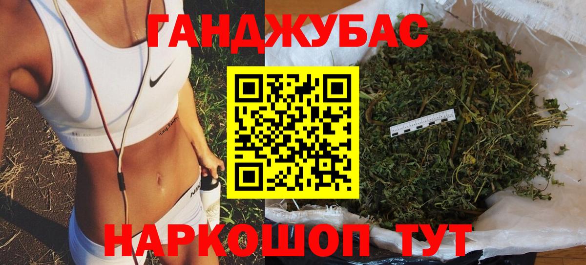 Бошки Шишки планчик Сланцы